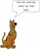 Scooby Doo post quote.jpg